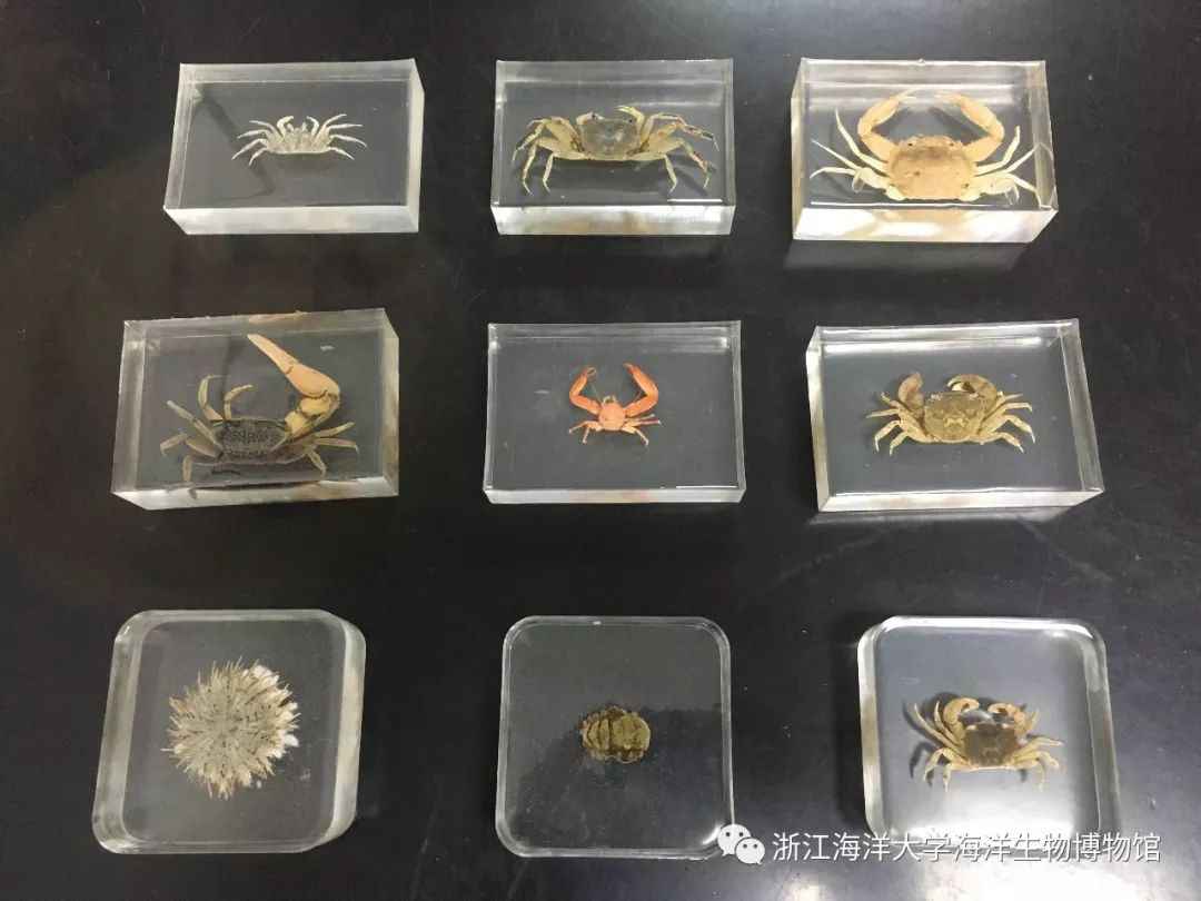 640.jpg 图片