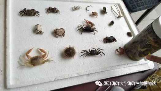 640.jpg 图片